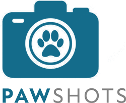 Paw Shots: :: Pet Photography Nelson BC